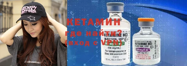 шишки Верея