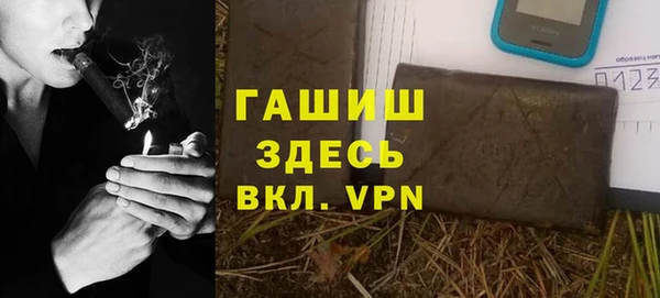 шишки Верея