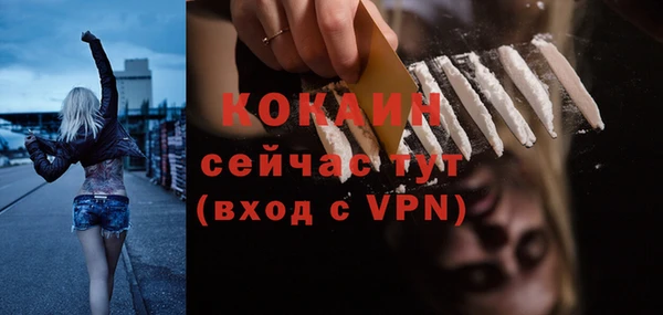 шишки Верея