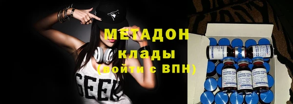 шишки Верея