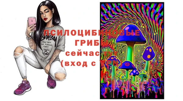 гашик Верхний Тагил