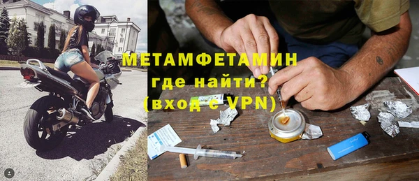 шишки Верея