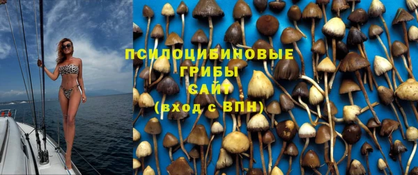 гашик Верхний Тагил