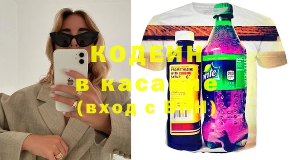 шишки Верея